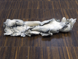 Kathrin Graf