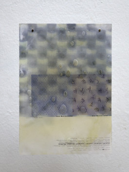 Kathrin Graf