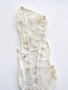 Kathrin Graf