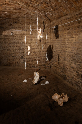 Kathrin Graf