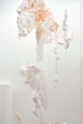 Kathrin Graf