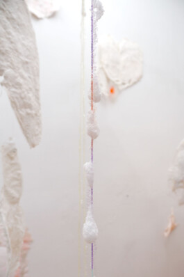 Kathrin Graf