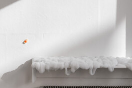 Kathrin Graf
